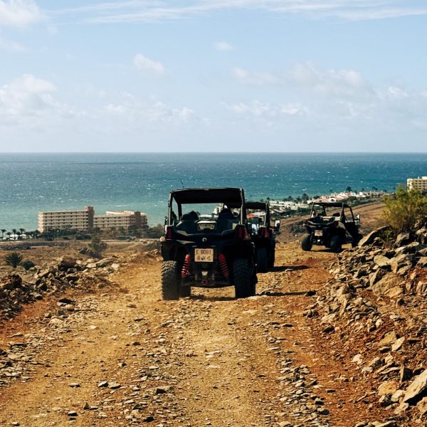 Buggy 100% offroad