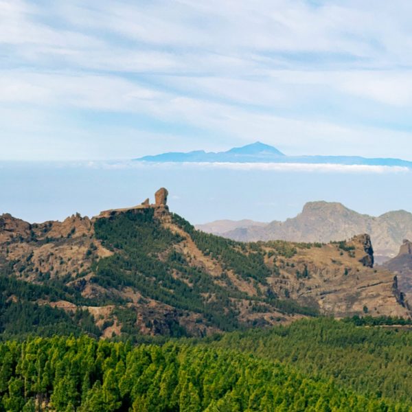 Gran Canaria - wycieczka przez środek wyspy z Roque Nublo i Las Palmas
