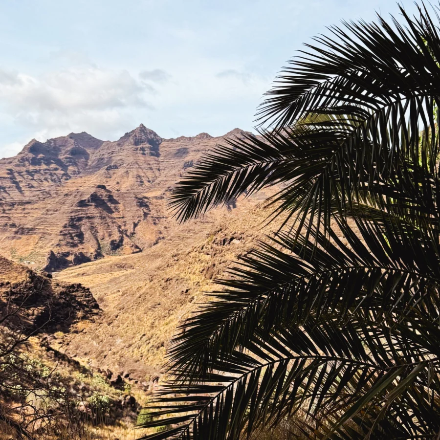 Gran Canaria polskie biuro podróży