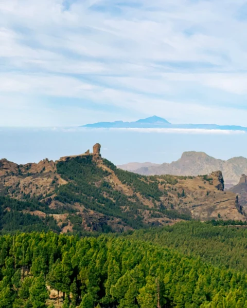 Wycieczki Gran Canaria